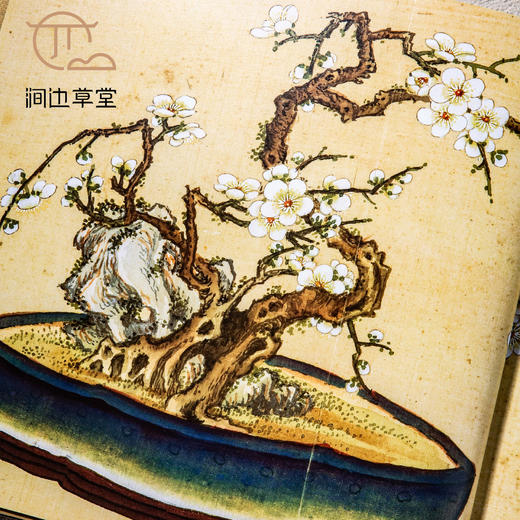 【绝版好书】《百卉清供 瓶花与盆景画特展》八开227页，2019年台北故宫博物院出版 商品图9
