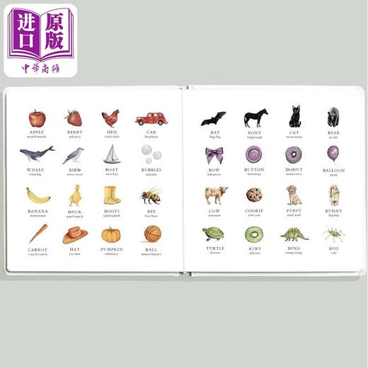 【中商原版】对孩子入门单词和颜色的教育 Wishy Washy First Words and Colors for Growing Minds英文原版 早教认知纸板书 商品图2