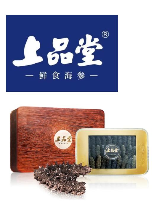 【超市】上品堂特级干海参100g 商品图0