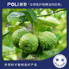 意大利进口有机佛手柑精油香薰精油原液POLI颇黎进口单方精油原料 商品缩略图0