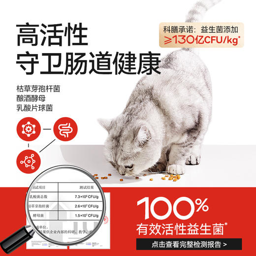 S300PLUS高鲜肉全价全期成猫烘焙粮450g 商品图4