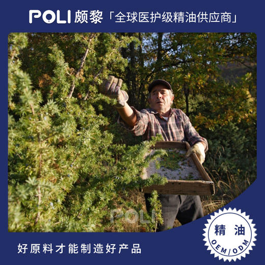 法国进口有机高地杜松子/莓/浆果精油颇黎天然精油香薰原料批发 商品图0