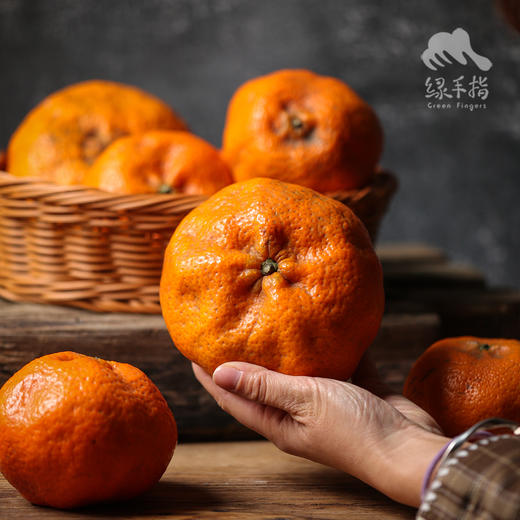 生态四川甘平| 合作生产*Eco-citrus | Coproducted 商品图0