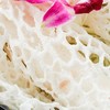 鲜竹荪花约150g/份 商品缩略图2