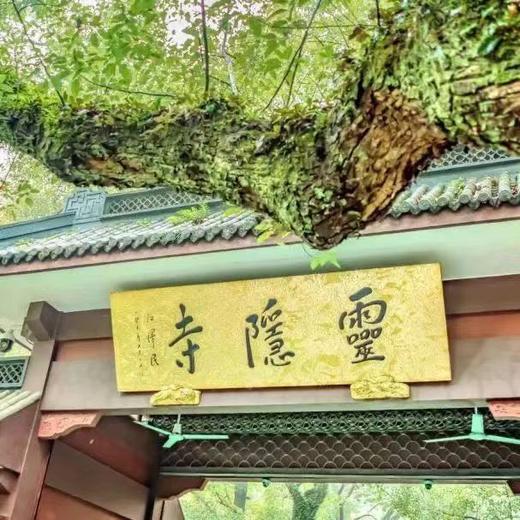 边玩边养老丨漫游桐庐，畅玩江浙好风光，享江南山水诗意慢生活！ 商品图3