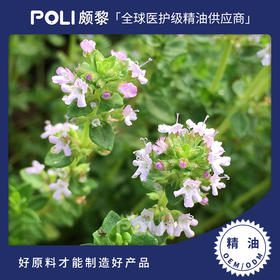 西班牙进口有机龙脑精油香薰美容院天然龙脑油原料 刮痧按摩精油