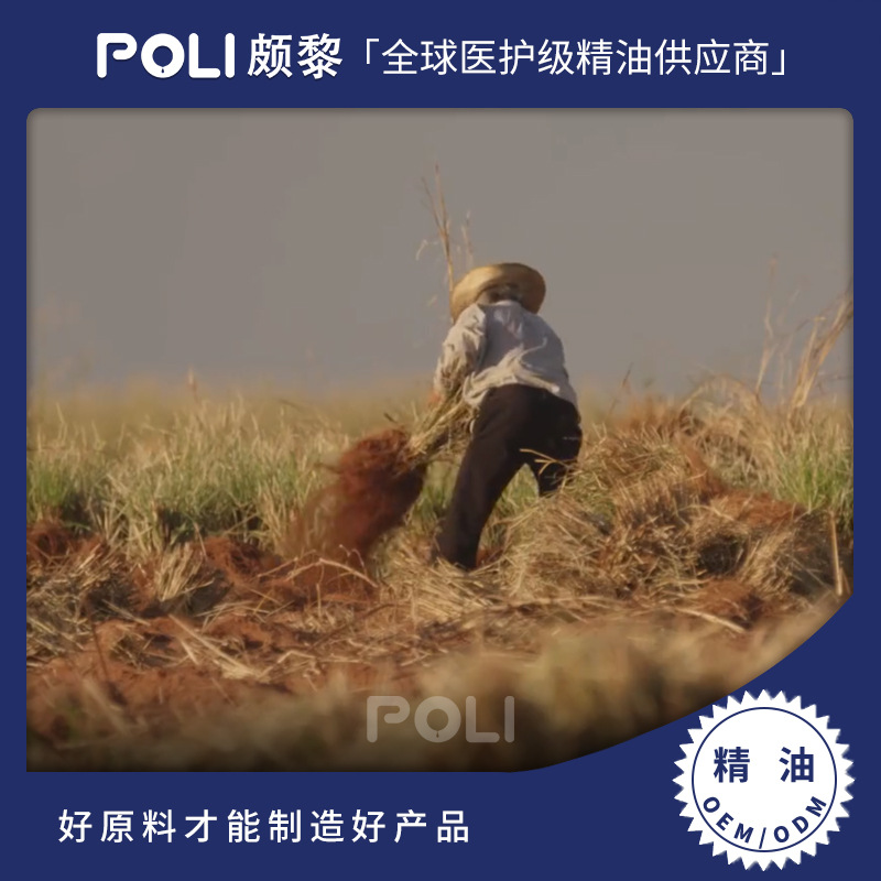 印尼进口香茅精油 美容院护肤按摩天然精油原料 POLI颇黎进口香茅