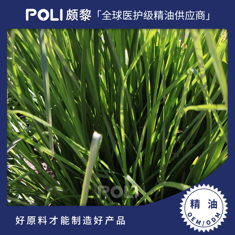 印度进口玫瑰草单方精油原料 玫瑰草精油原液 颇黎POLI精油原料批发