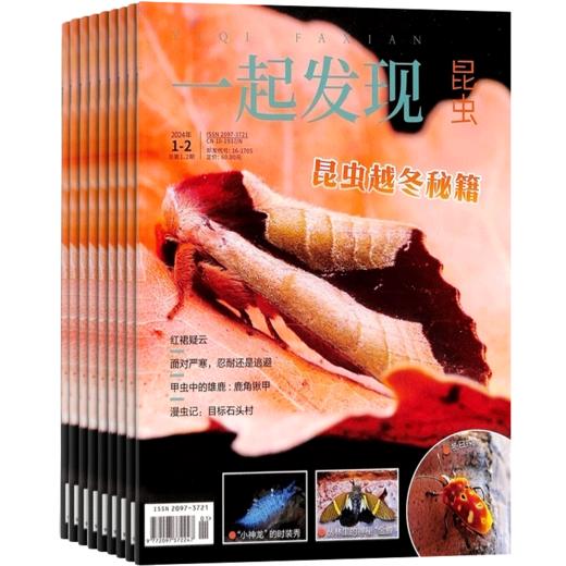 一起发现昆虫（自然科普 走近自然）2026年1月起订（1年共12期）  8-15岁青少年 商品图2