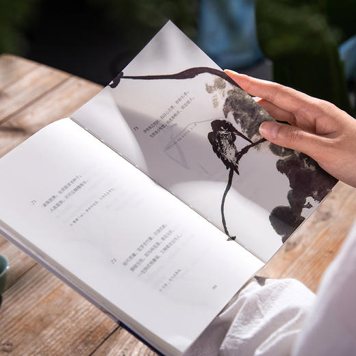 《中国古典生活美学四书》，收录齐白石等4位名家画作，修身养性、提高审美【G】 商品图3