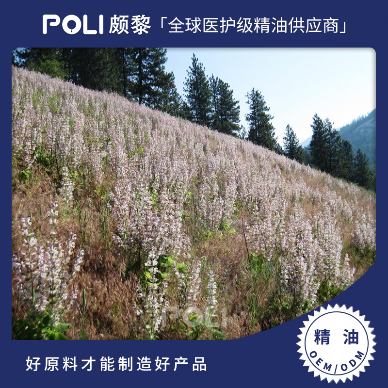 保加利亚进口快乐鼠尾草精油 精油原料批发 颇黎进口精油厂家