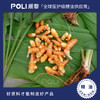 印尼进口姜黄精油 单方精油原料批发灌装 POLI/颇黎天然姜黄精油 商品缩略图0