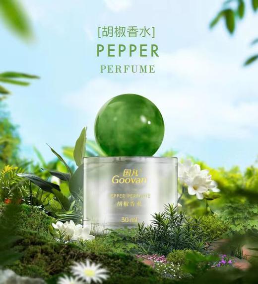 香草兰香水/胡椒香水/阳光海湾香水/海洋之梦香水30ml热带雨林植物成香的奥秘 商品图1