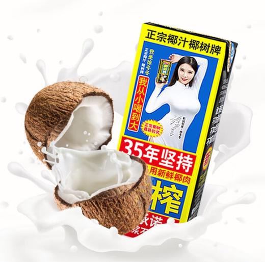【年货节】椰树 椰汁 正宗椰树牌椰子汁 245ml*24盒 整箱装 年货送礼 商品图1