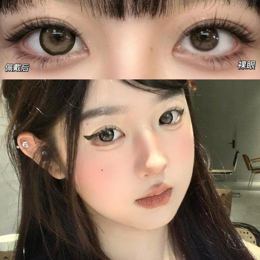 Doragina奶乖泰迪（日抛） 商品图0