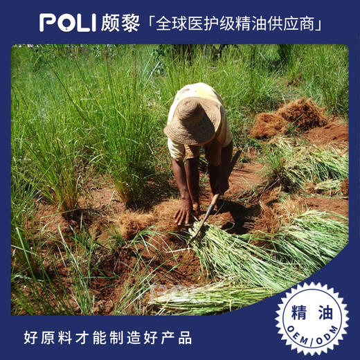 印尼进口香根草精油 颇黎岩兰草精油原料 按摩护肤刮痧单方精油 商品图0