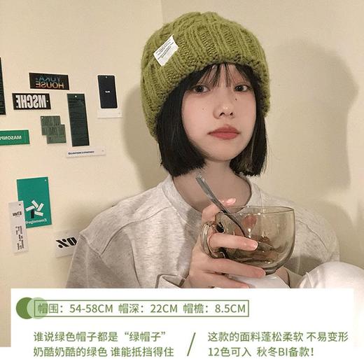 秋冬新款针织帽女款百搭毛线帽子韩版大头围显瘦冬季帽子潮 商品图1