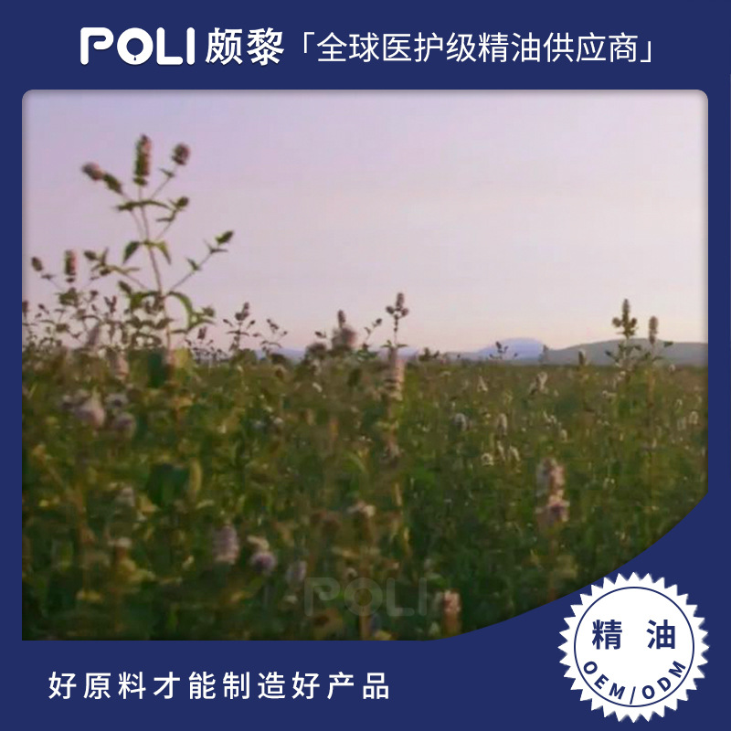 椒样薄荷精油POLI 中国荷单方精油