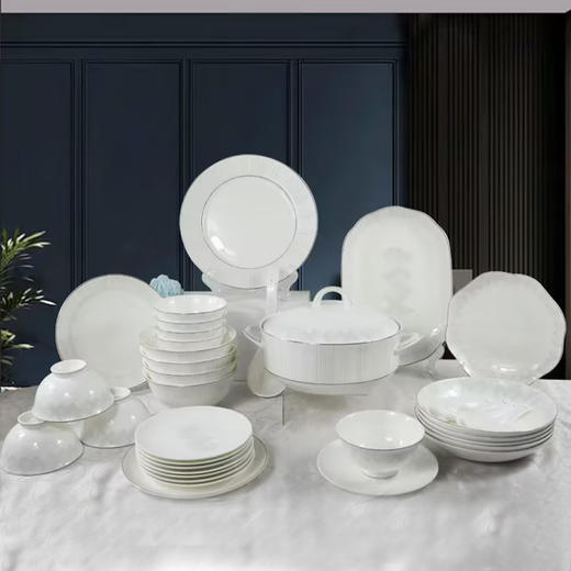 凡瑞斯岁月印记48头10人用骨瓷餐具 商品图7