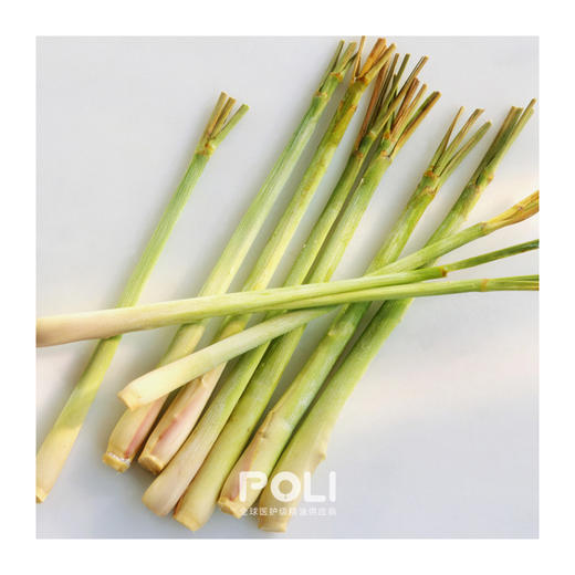 印尼进口香茅精油 美容院护肤按摩天然精油原料 POLI颇黎进口香茅 商品图1