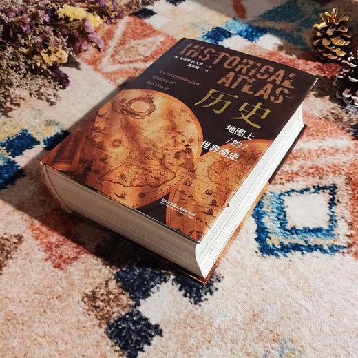 《历史——地图上的世界简史》，1000幅彩色插图，好看不腻【G】 商品图6