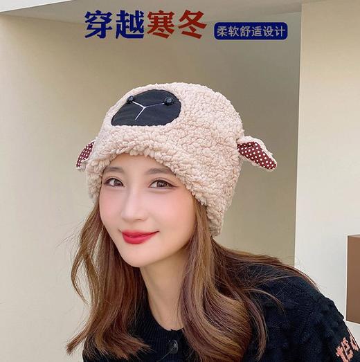 冬季日系卡通甜美可爱耳朵帽子女小绵羊毛绒加厚帽抖音代发套头帽 商品图0