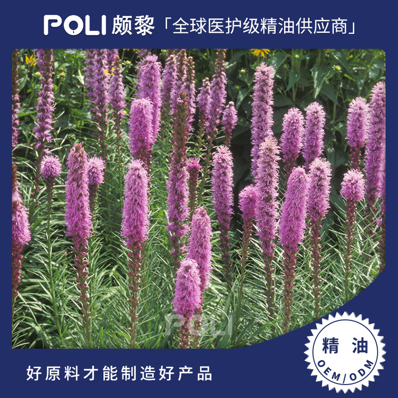 印度进口玫瑰香茅精油原料 颇黎批发单方精油 护肤按摩玫瑰香茅精油