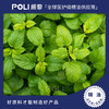 印度进口柠檬薄荷精油补水单方精油原料进口按摩护肤柠檬薄荷精油 商品缩略图0