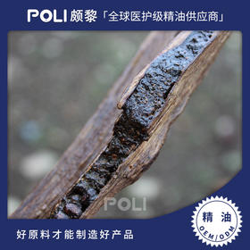 泰国进口沉香木精油 颇黎进口天然精油原料 厂家批发单方精油香薰