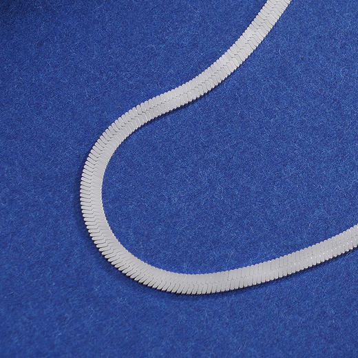 子佩集S925银【墨澈】项链【CY802000】原创2蛇骨2402 商品图2