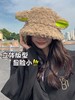 个性小羊帽子秋冬季百搭渔夫帽女日系可爱毛线保暖耳朵毛绒帽盆帽 商品缩略图1