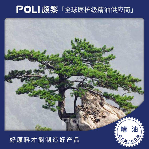 崖柏精油 美容院护肤精油按摩10ml 颇黎批发开背刮痧崖柏精油原料 商品图0