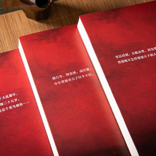 【春节不停运】《曹操》（易中天长篇历史小说），2022年新作，10年打磨复活曹操，穿越精彩三国，看透权谋、读懂人性【G】 商品图4