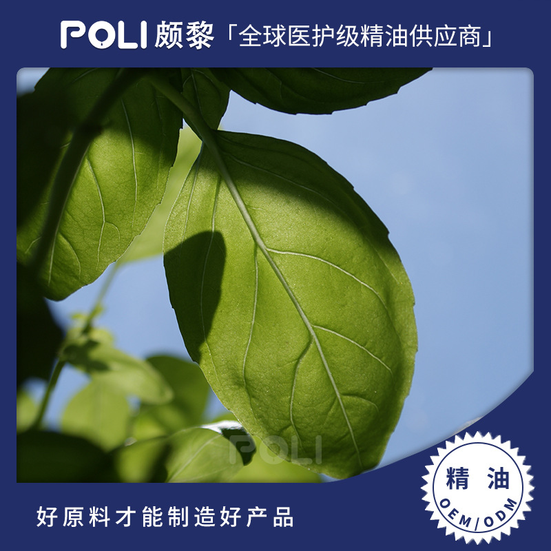 印度进口热带罗勒精油 单方精油原料批发 颇黎按摩精油原料