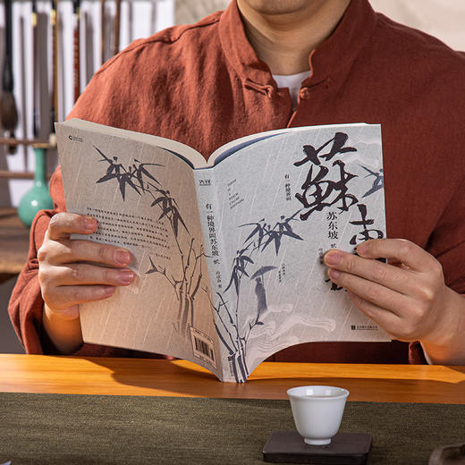 《有一种境界叫苏东坡》（全三册），《人民日报》力荐！中国苏轼研究会副会长、文化学者冷金成教授佳作，读懂苏东坡，活出豁达人生【G】【春节2.4~2.18不发货】 商品图4