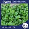 印度进口绿薄荷精油 按摩刮痧精油原料 颇黎单方精油原料批发 商品缩略图0