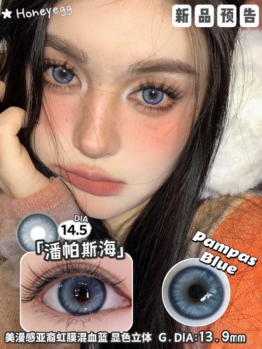 honey egg 美瞳半年抛 潘帕斯海 直径14.5mm着色13.9mm 商品图1