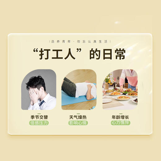 【正宗同仁堂品牌】北京同仁堂 生地黄250克 河南精选 肉质肥厚  微苦回甘 SY 商品图2