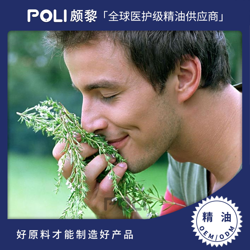 西班牙进口有机桉油醇迷迭香精油单方进口精油原料颇黎进口精油