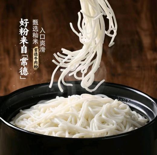 常德牛肉粉 红烧牛肉汤粉480.6g 商品图3
