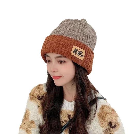 网红帽子女秋冬韩版百搭毛线帽潮双面贴标保暖冷帽大头围针织帽子 商品图4