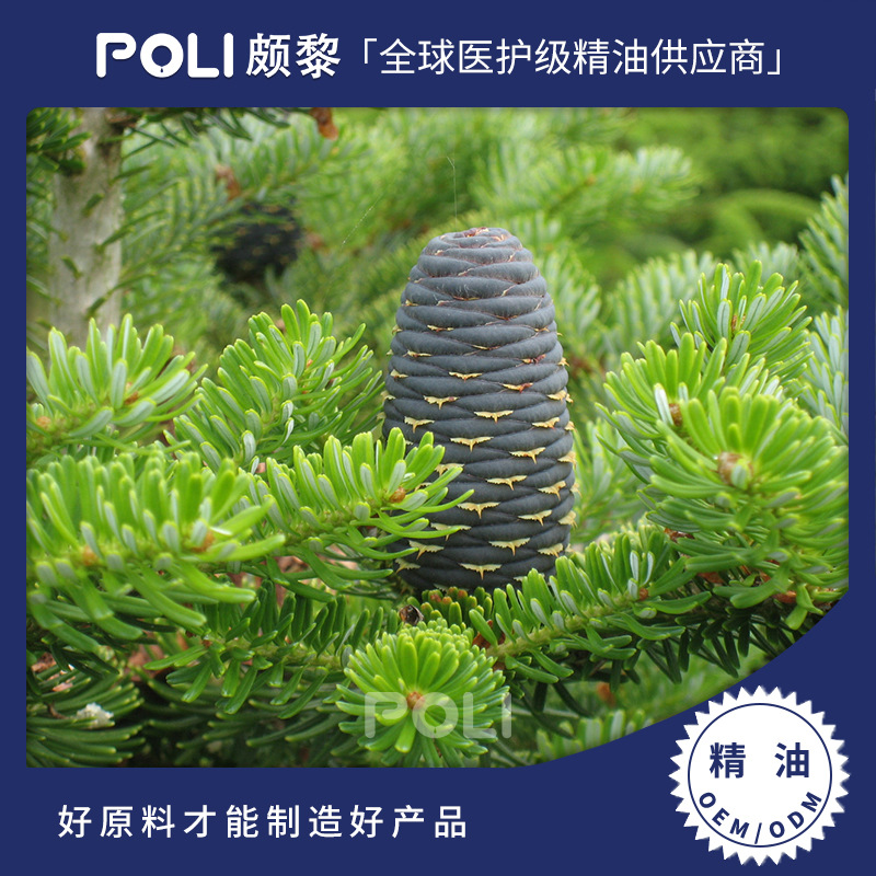 俄罗斯进口西伯利亚冷杉精油原料 美容院按摩精油 颇黎单方精油10ml