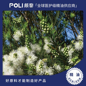 澳大利亚进口石楠叶白千层精油进口沼泽茶树精油原料颇黎单方精油