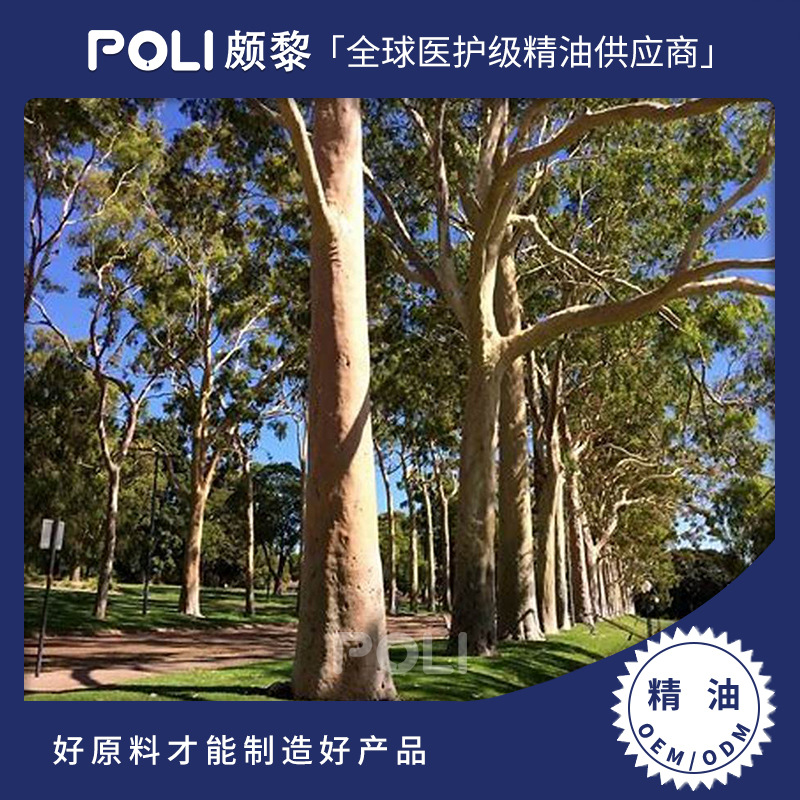 澳大利亚进口柠檬尤加利精油原料单方进口精油批发颇黎进口天然精油