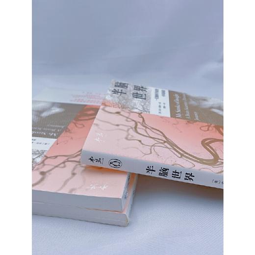 半脑世界——一位脑科学家的中风体验([美] 吉尔·泰勒  译者：黄蕾) 商品图4