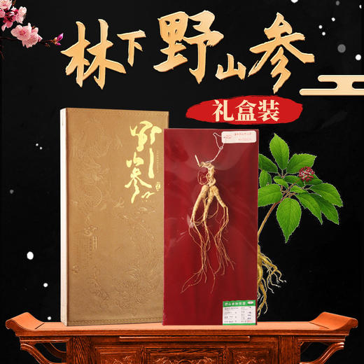林下山参 人参礼盒滋补养生营养美味长白山特产林下山参礼盒 商品图0