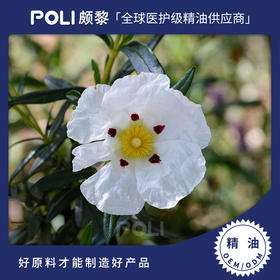 西班牙进口有机岩玫瑰精油 单方精油香薰原料批发 颇黎按摩精油