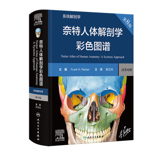 奈特人体解剖学彩色图谱：系统解剖学，第8版 2024年1月参考 商品图0