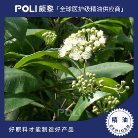 澳大利亚进口柠檬香桃木精油 护肤刮痧精油颇黎单方精油原料