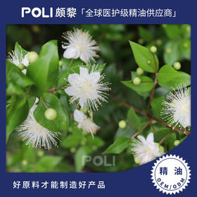 摩洛哥进口香桃木精油 桃金嬢精油原料批发 美容院护肤精油oem